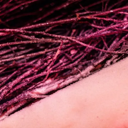 Panzió - Zacisze - Sauna - Silownia - Komnata Solna - Parking - Sniadanie - Kłodzko