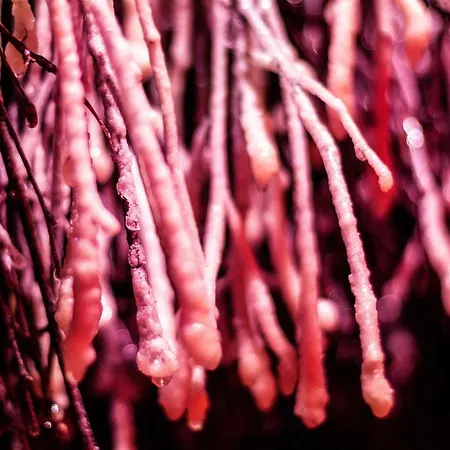 - Zacisze - Sauna - Silownia - Komnata Solna - Parking - Sniadanie - 3*