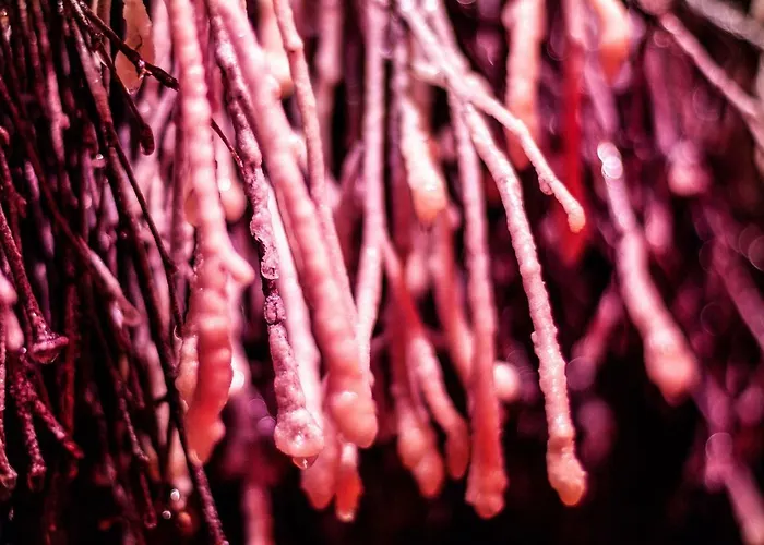 Klodzko-zacisze - Wellness & Fitness 3*