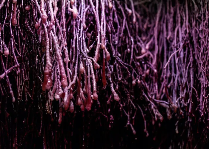 Klodzko-zacisze - Wellness & Fitness